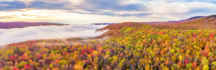 7 easy hikes and walks to see Vermont’s fall foliage What lip color is best for me