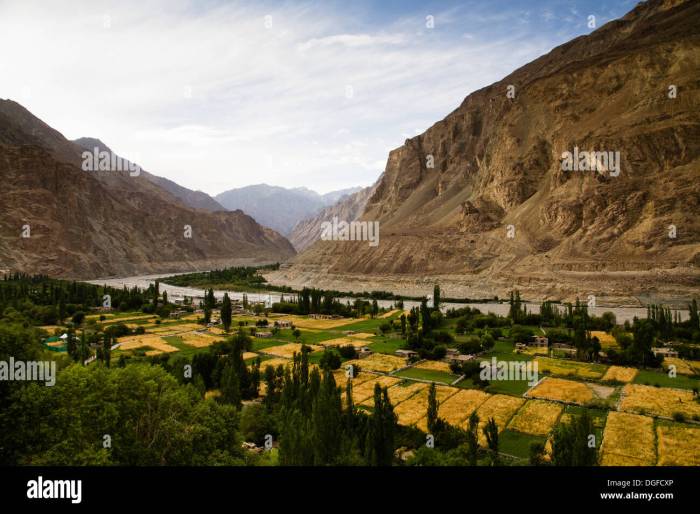 Turtuk village in the Shyok Valley, Nubra Valley, Ladakh, Jammu and ... Best of the 2000s songs